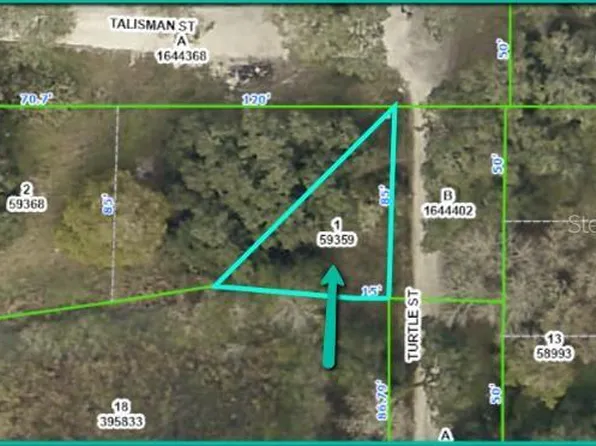 3209 Turtle St #1, Dade City, FL 33523