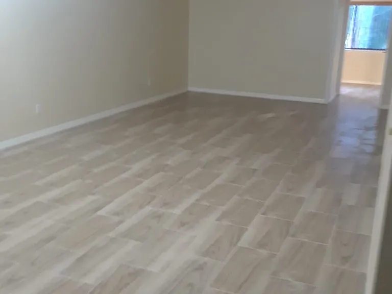 224 Deer Lake Cir — Photo 6