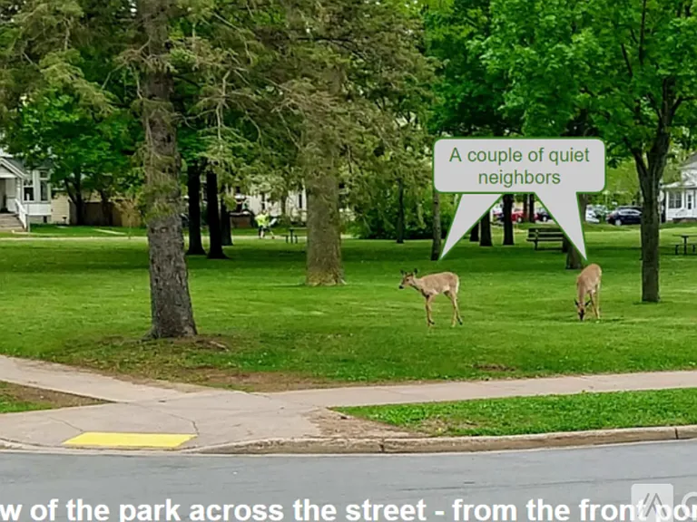 Park as seen from front porch.