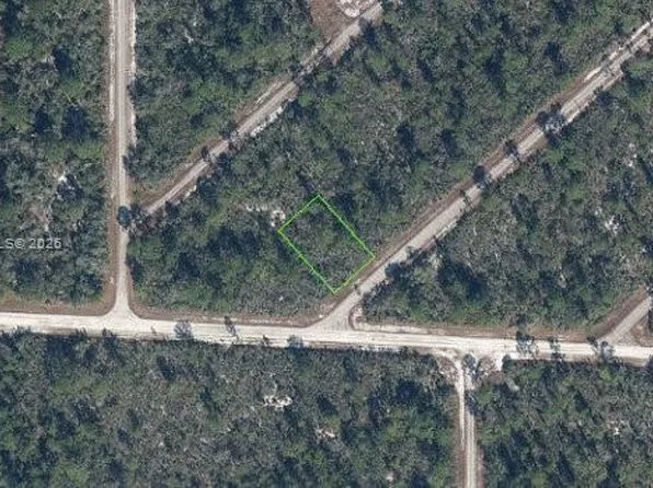 3543 Venetia St, Lake Placid, FL 33852