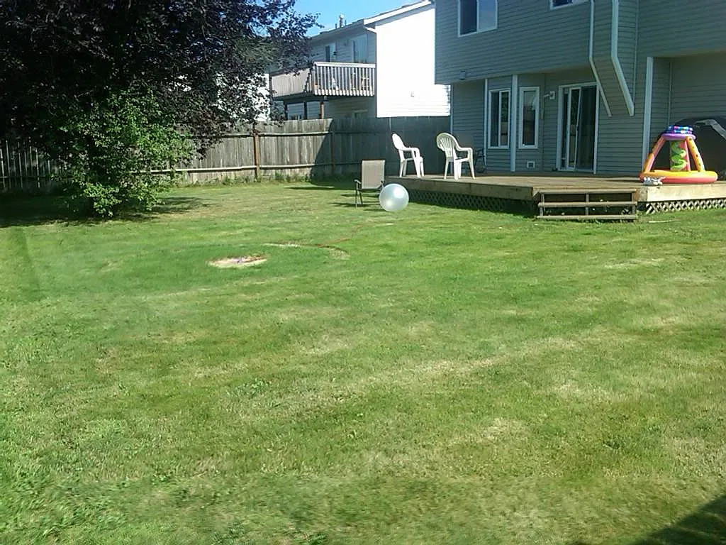 16565 153rd Street SE — Photo 2