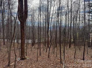 770 Somersby Pkwy, Laurel Park, NC 28739