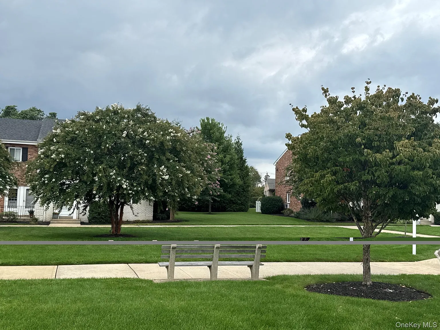 1 bed, 1.0 bath, 925 sqft, $3,100 — Photo 2