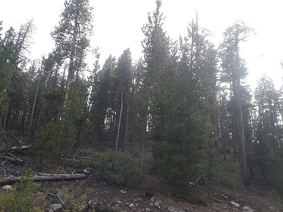 3rd image of 872 Juniper Dr