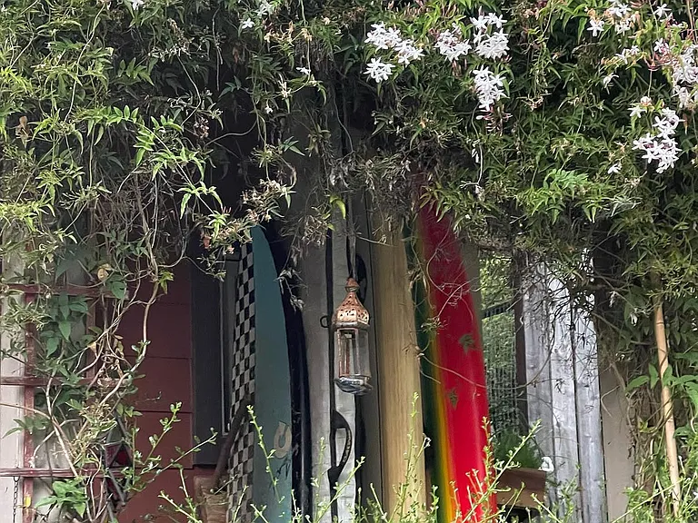 Front porch covered in Jasmine