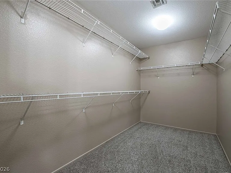 3925 Meadow Foxtail Dr — Photo 15
