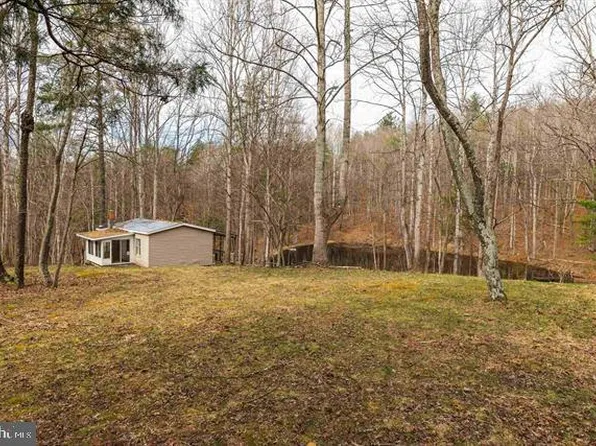 LOT 1 Hopkins Gap Rd, Fulks Run, VA 22830