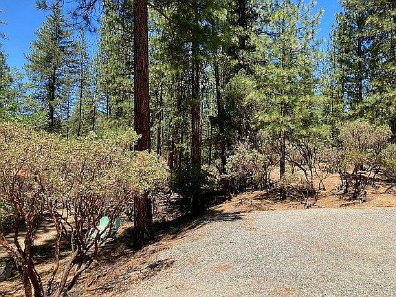 Side frontyard off driveway