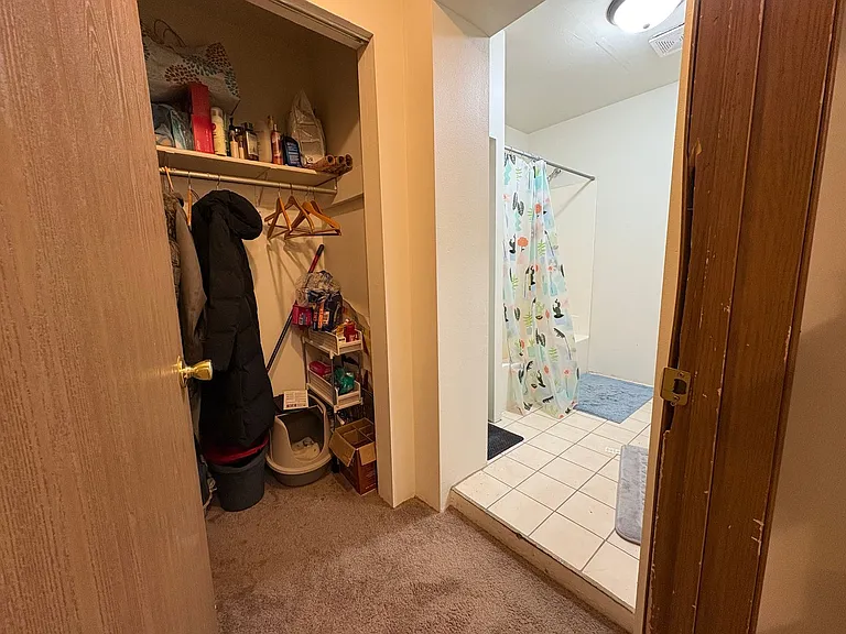 532 S. Dubuque Street — Photo 19