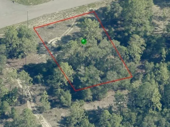2596 W Braganza St, Citrus Springs, FL 34433
