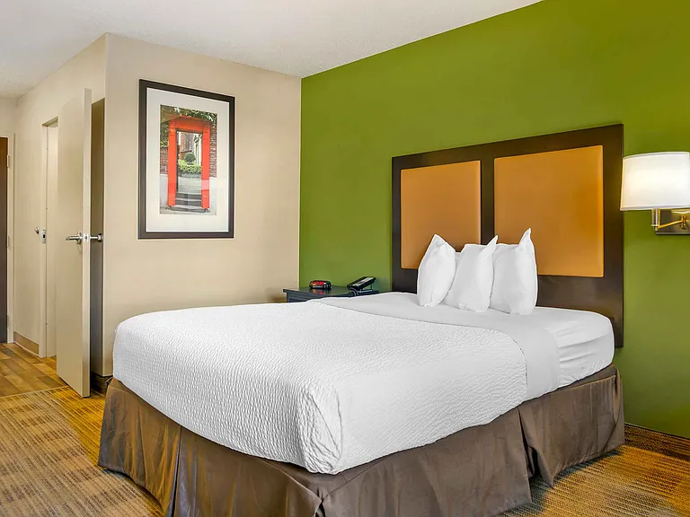 Studio Suite - 1 Queen Bed