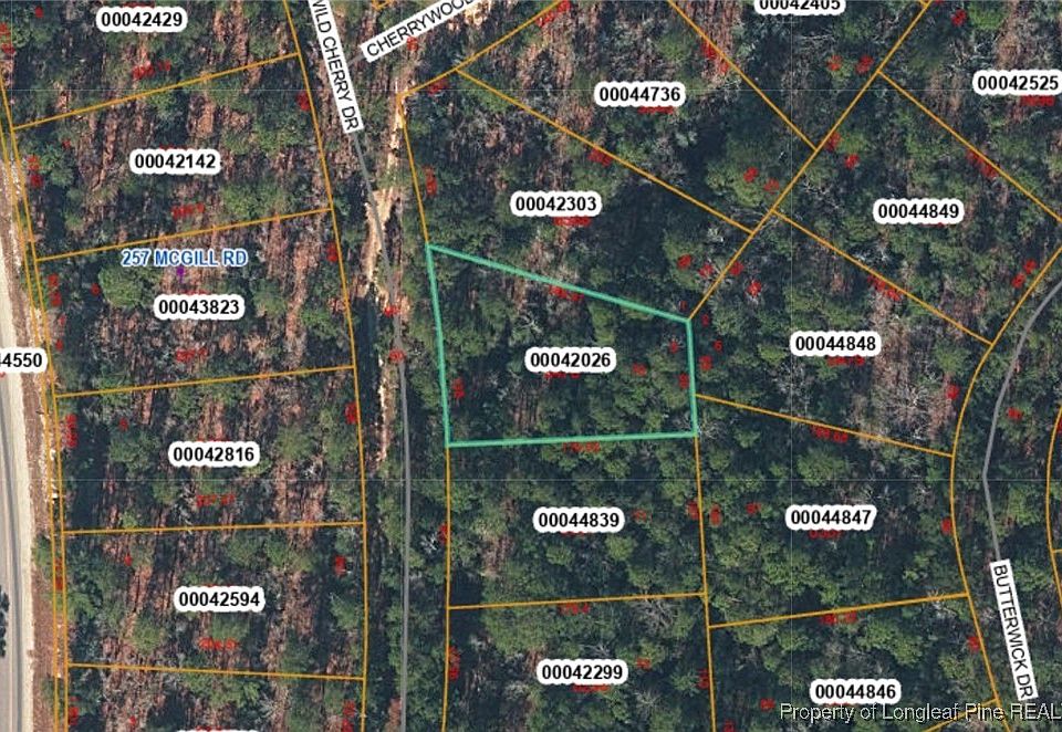2nd image of Wild Cherry Dr