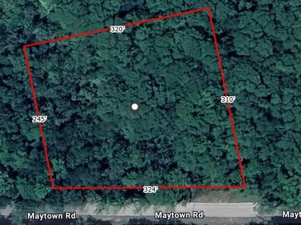 Maytown Rd Lot 4, Oak Hill, FL 32759