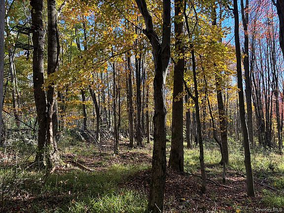 5th image of ROW off Chaffee Road
