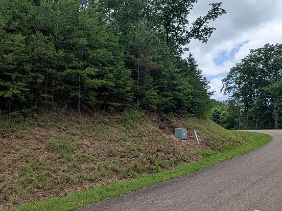 5th image of 232 Stone Cliff Dr