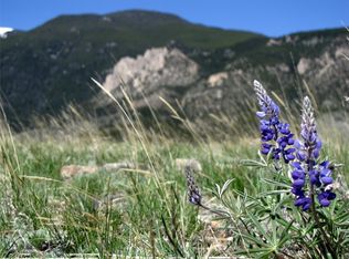 305 Gold Creek Rd, Belfry, MT 59008