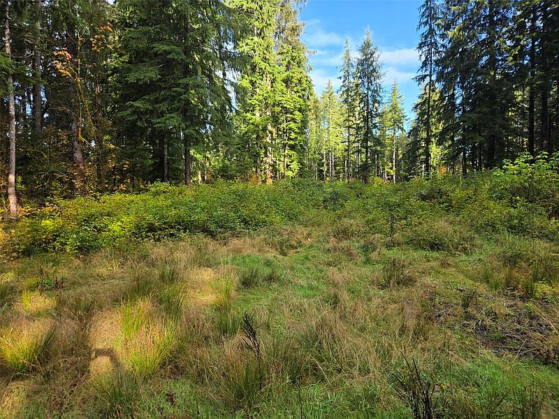 2nd image of 0 NKA E Humptulips Road