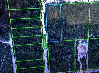 2235 Petunia Ave, Sebring, FL 33875