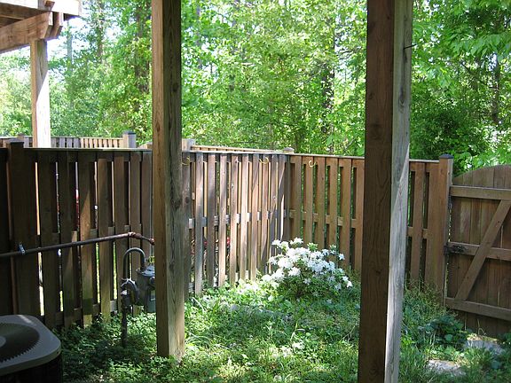 Back Yard 2