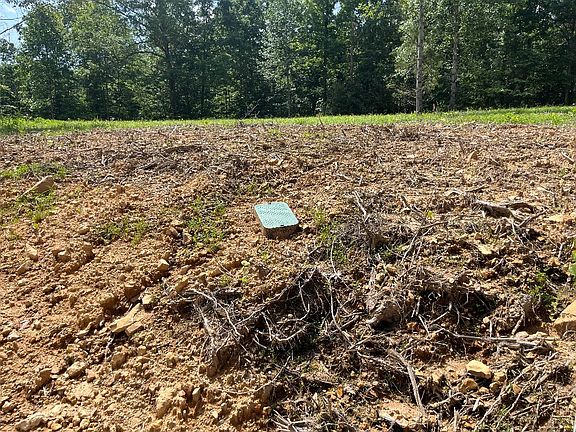 4th image of 10898 Back Piney Rd Lot 3