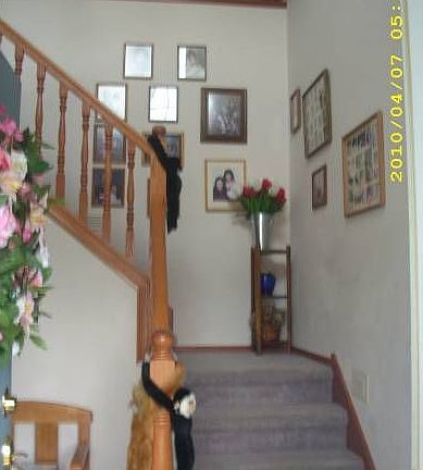 Entry - Stairway