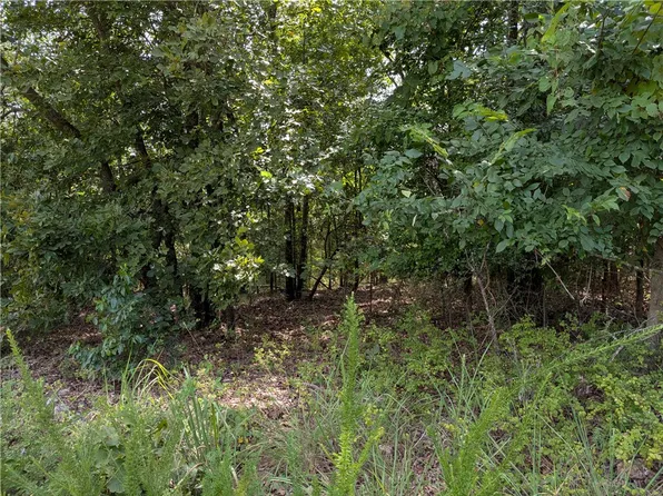 0 Twin Fork Dr Tract 19, Harrison, AR 72601