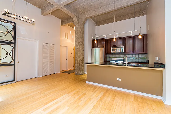 1735 N Paulina St #206 — Photo 4