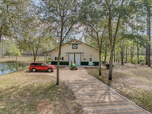 Tree-shaded driveway