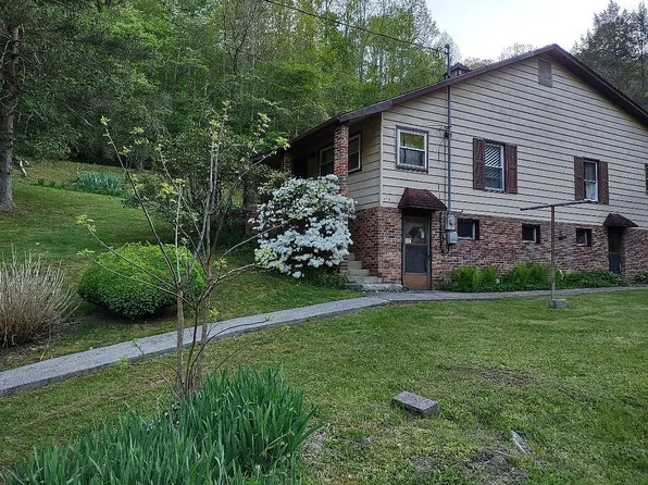 351 Canebrake Mountain Rd, Squire, WV 24884