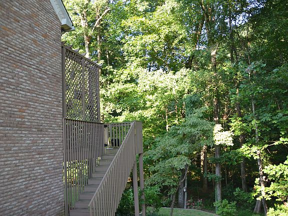 Beautiful trees trees trees