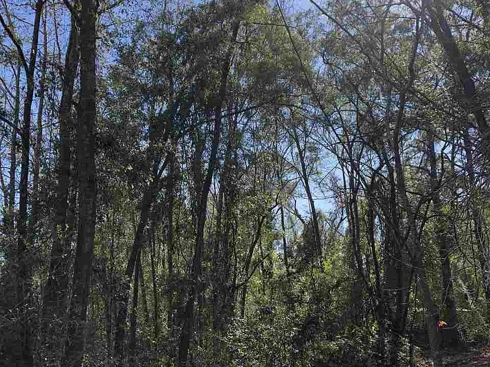 2nd image of Apalachee Pkwy