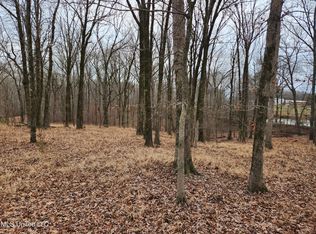 6851 Alphaba Rd #1, Coldwater, MS 38618