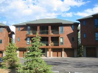 434 Salt Lick #C, Silverthorne, CO 80498