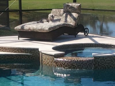 16412 Blue Whetstone Ln, Odessa, FL, 33556