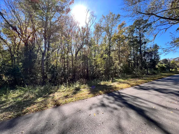 0 Shoofly Rd, Ridgeville, SC 29472