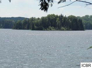 48317 Gunn Lake Ln, Marcell, MN 56657