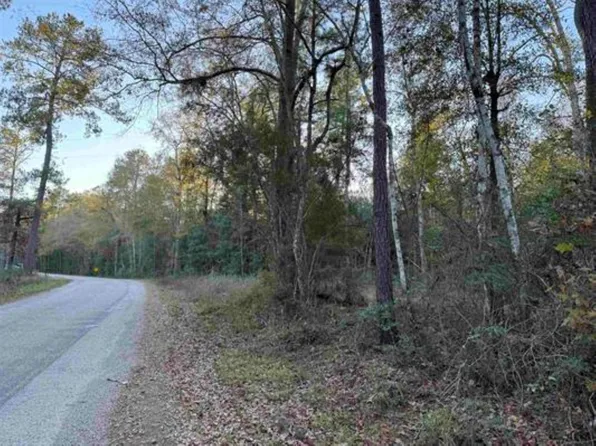 2700 County Road 443, Kirbyville, TX 75956