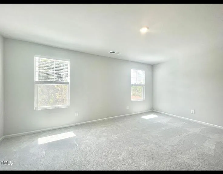419 Carolina Springs Blvd — Photo 20