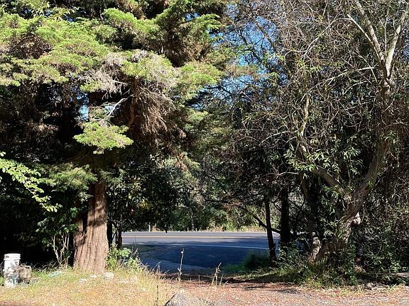 3rd image of 11490 Bodega Highway