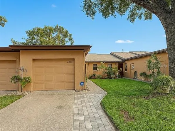 6206 Pina Colada Ct, Tampa, FL 33634