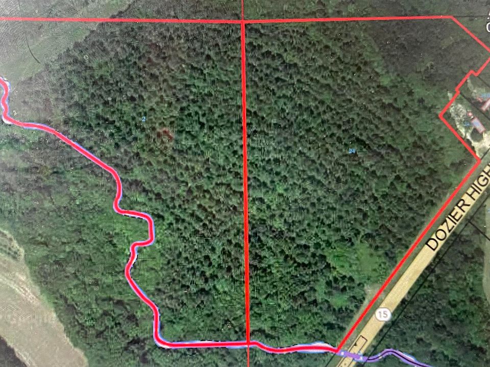 0 State Highway 29, Dozier, AL 36028 MLS 22515 Zillow