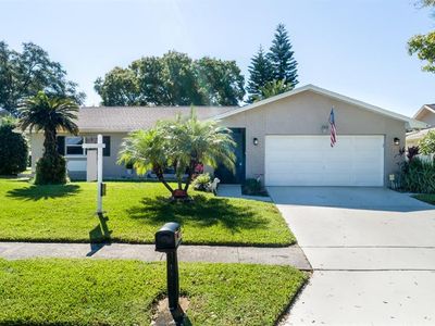 2924 Macalpin Dr S, Palm Harbor, FL, 34684