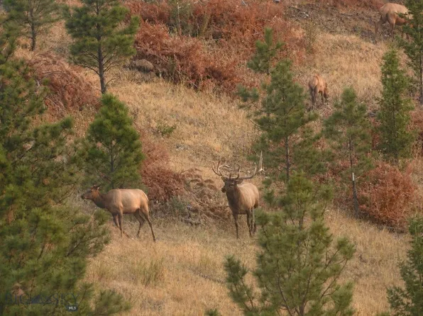 (undisclosed Address), Helena, MT 59602