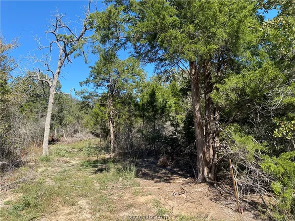 815 Blueberry Hill Rd, Somerville, TX 77879