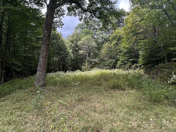 5th image of 230 Little River Retreat Rd