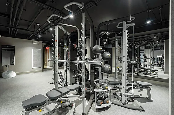 Rented by EXR | media 15