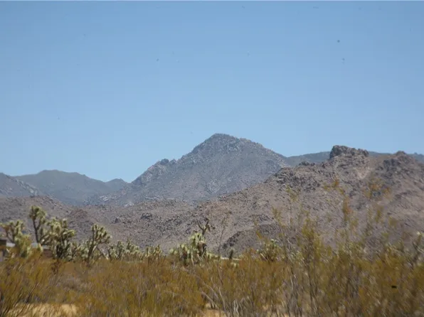 122-10-005 Tortoise, Yucca, AZ 86438