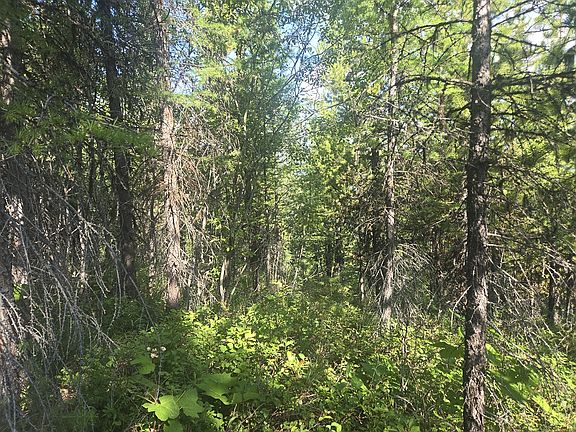 3rd image of LOT 16 Nine Mile Rd