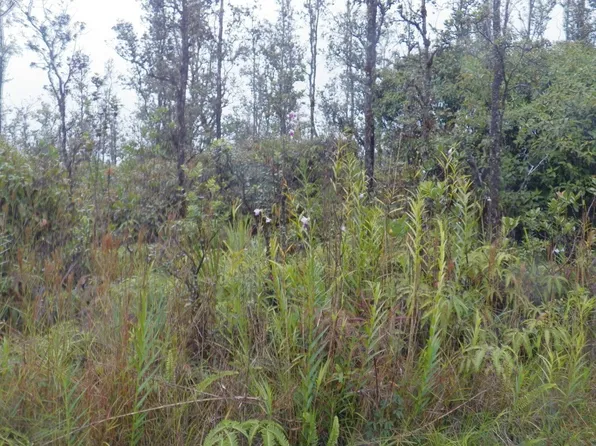 Road 4 Kea #Io, Kurtistown, HI 96760