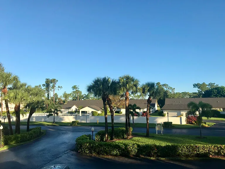 View from kitchen window